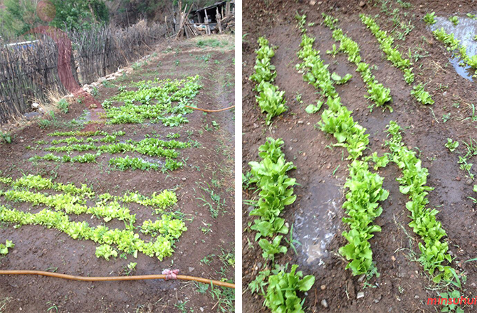 北京门头沟民宿|爨底下民宿|厚德福农家院-门头沟旅游,爨底下旅游-民宿汇 - 图片3