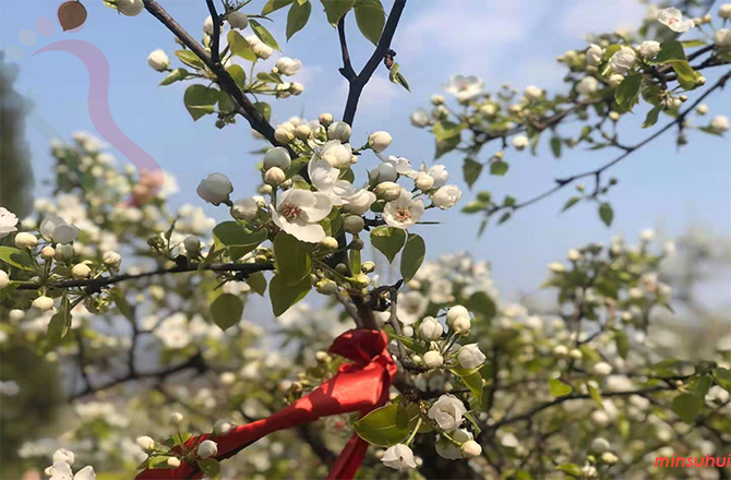 天津蓟县民宿|八仙山民宿|成果农家院-京郊游,蓟县旅游,八仙山旅游-民宿汇房间图片1