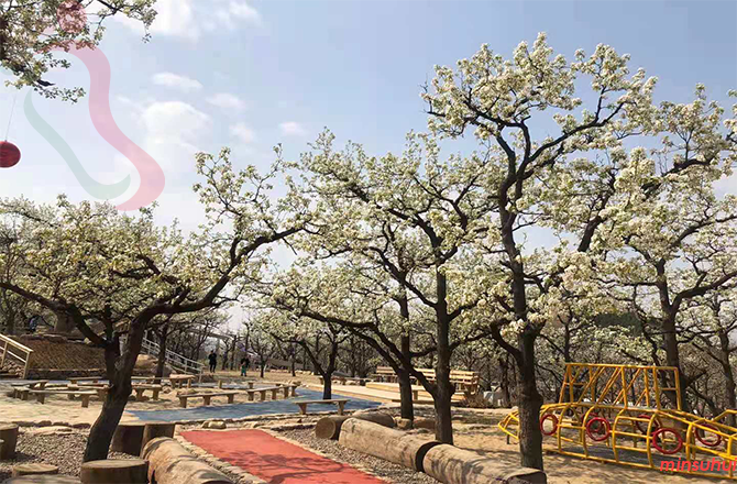 天津蓟县民宿|八仙山民宿|成果农家院-京郊游,蓟县旅游,八仙山旅游-民宿汇 - 图片2