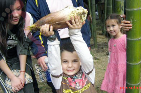 浙江杭州民宿|临安民宿|白水涧山庄-浙江杭州临安旅游,白水涧旅游-民宿汇 - 图片2