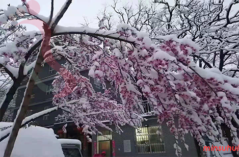 河南新乡民宿|辉县民宿|秋沟三山脑山庄-新乡旅游,秋沟旅游,齐王寨-民宿汇 - 周边游玩