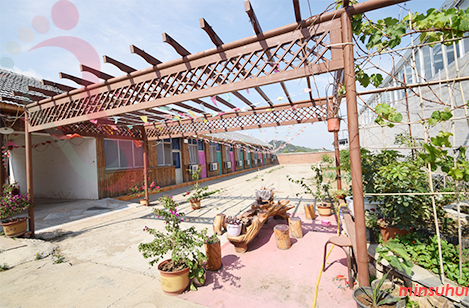 河北遵化民宿|清东陵民宿|鑫森居农家院-遵化旅游,万佛园,抗震纪念馆-民宿汇 - 图片1