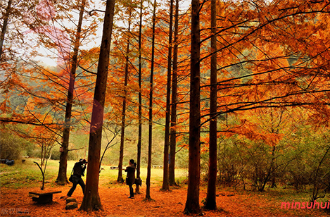 重庆民宿|石柱民宿|黄水雪云山庄-重庆旅游,月亮湖,油草河,大风堡-民宿汇 - 图片1