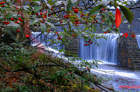 重庆民宿|石柱民宿|黄水雪云山庄-重庆旅游,月亮湖,油草河,大风堡-民宿汇 - 图片4