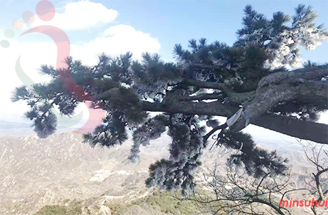 天津蓟县民宿|盘山民宿|建月农家院-蓟县旅游,盘山旅游,北少林寺-民宿汇 - 周边游玩