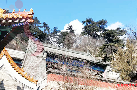 天津蓟县民宿|盘山民宿|建月农家院-蓟县旅游,盘山旅游,北少林寺-民宿汇 - 图片4