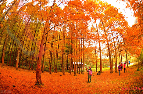 重庆民宿|石柱民宿|黄水雪云山庄-重庆旅游,月亮湖,油草河,大风堡-民宿汇