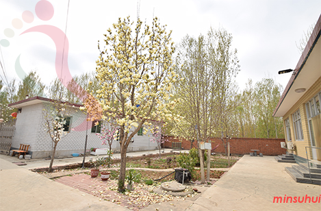 天津蓟县民宿|紫云水岸香草园民宿|秀水庄园-蓟县旅游,翠屏湖旅游-民宿汇 - 图片1