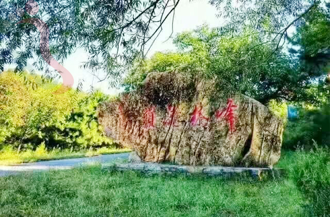 天津蓟县民宿|坝尺峪民宿|兴雲阁农家院-蓟县旅游,坝尺峪,九龙山,八仙山-民宿汇 - 周边游玩