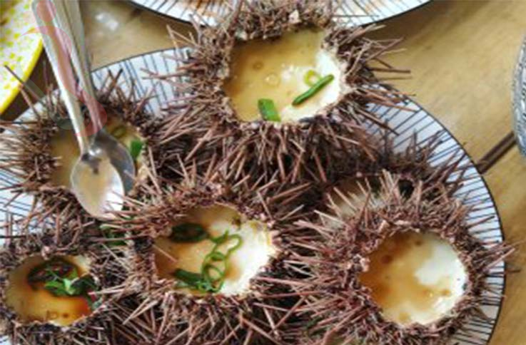 山东日照民宿|渔家院德玉渔家-山海天度假区；吴家台旅游度假村-民宿汇 - 图片4