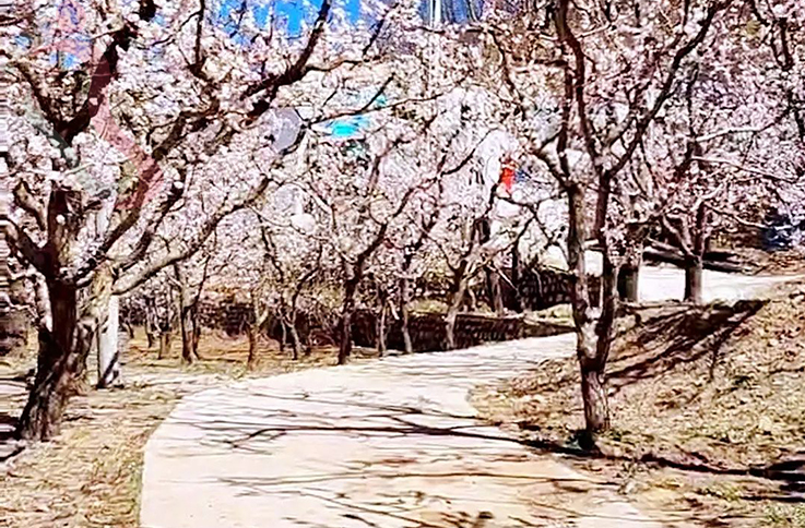 北京平谷北寨村礼遇相见贰号院民宿-平谷旅游平谷民宿平谷农家院北寨村民宿 - 周边游玩