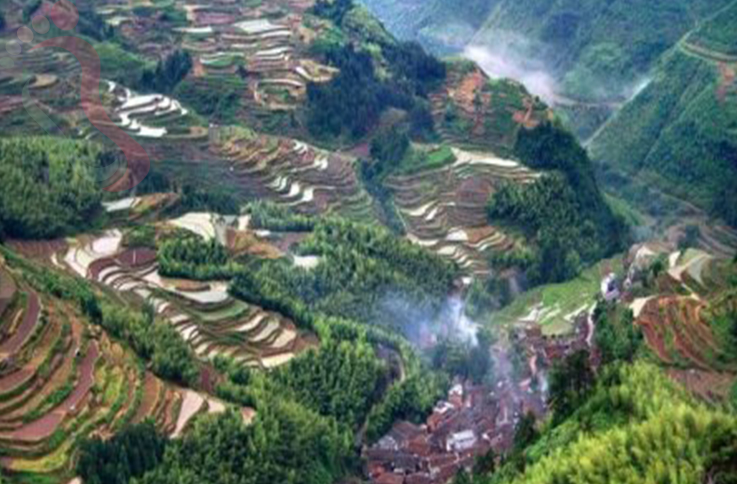 遂昌南尖岩远鹏农家乐 - 图片3