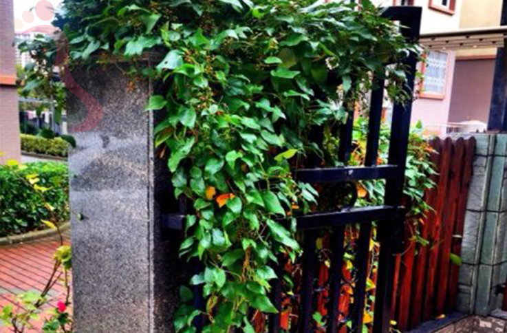 浙江省舟山民宿朱家尖行者驿站 - 图片3