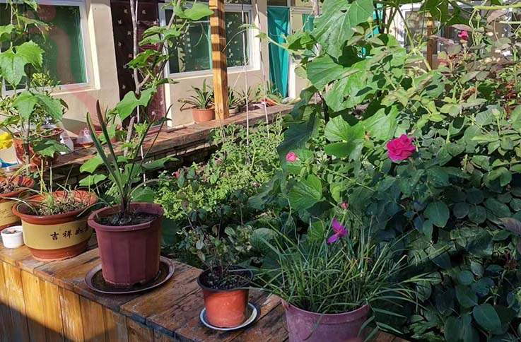 北京怀柔民宿云梦仙境艳旭农家院-怀柔旅游云梦仙境怀柔农家院云梦仙境民宿 - 图片3