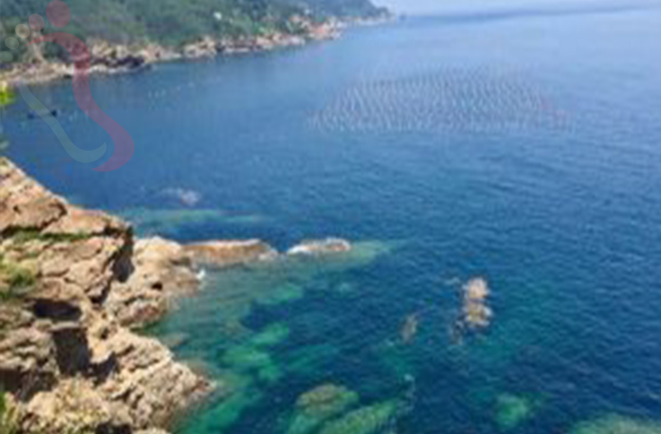 辽宁省獐子岛福海渔家院 - 周边游玩