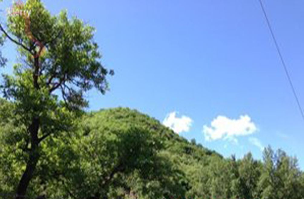 北京市百花山西山红客栈 - 周边游玩