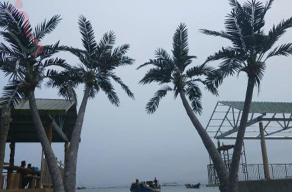 辽宁省哈仙岛仙客来度假村 - 周边游玩