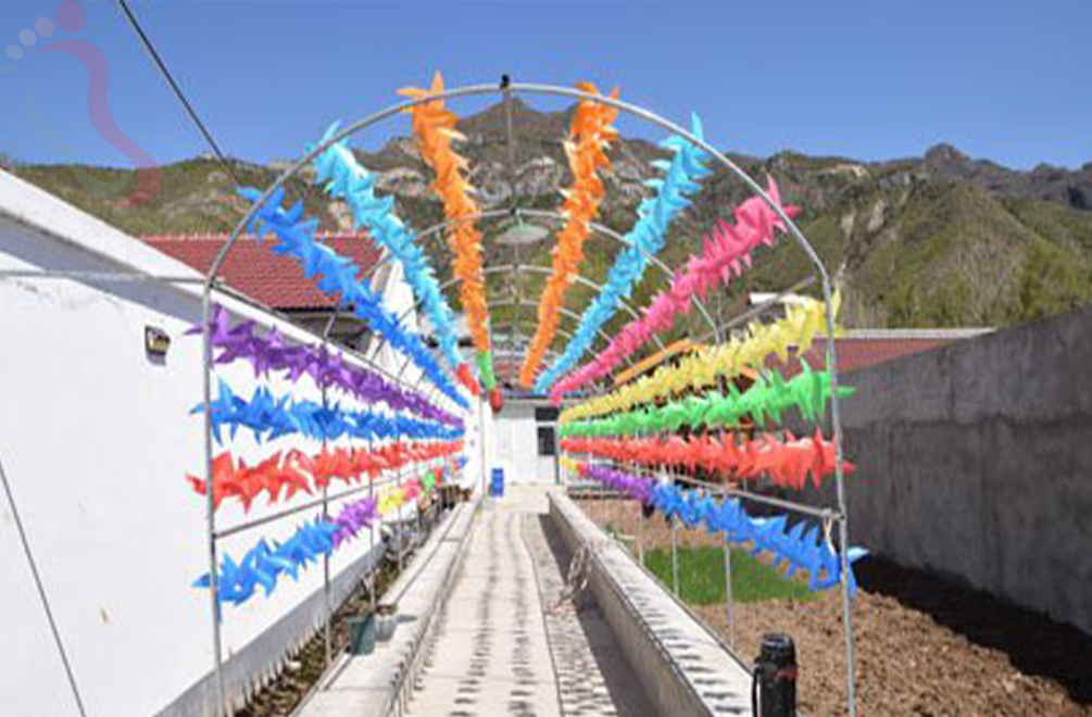 北京延庆区玉渡山刘玉焕农家院 - 图片3