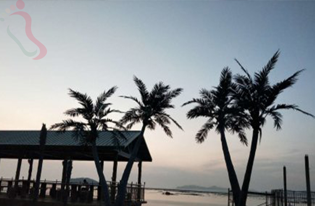 辽宁省哈仙岛仙客来度假村 - 民宿介绍