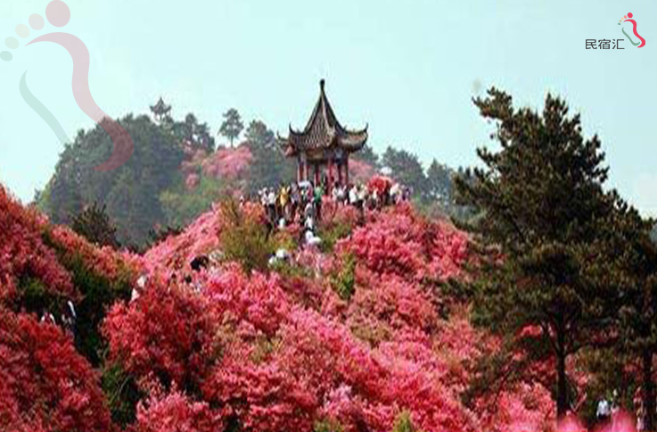 北京怀柔区喇叭沟门山角下小院 - 周边游玩