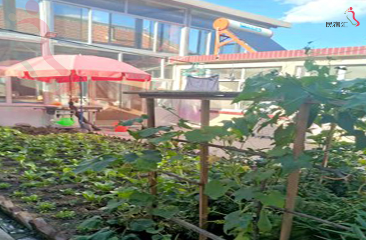 喇叭沟门彭玉红农家院 - 图片2