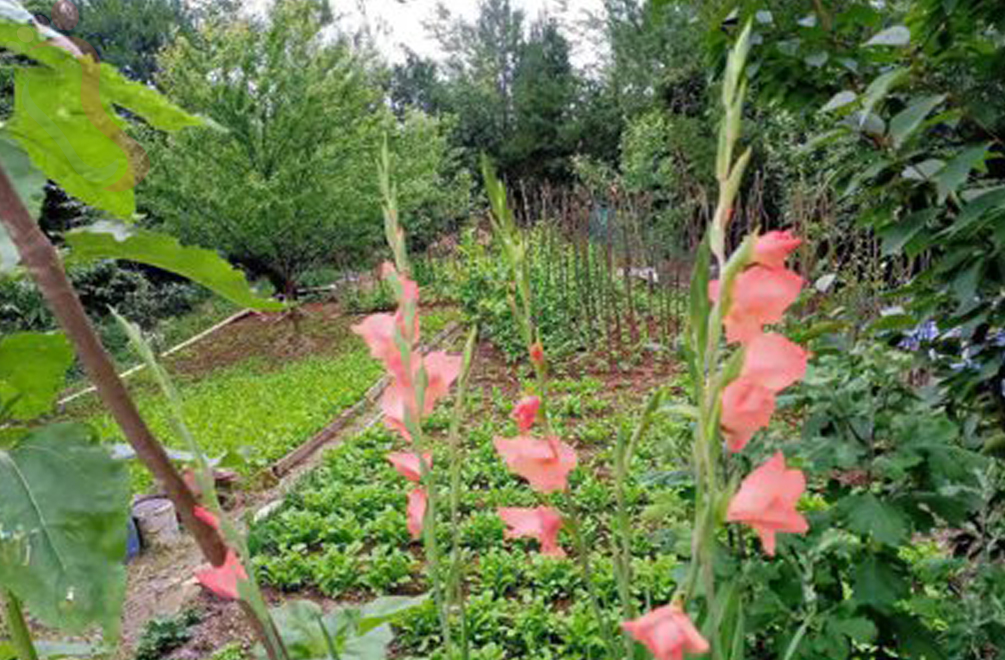重庆市石柱土家族自治县黄水雪云山庄 - 图片4