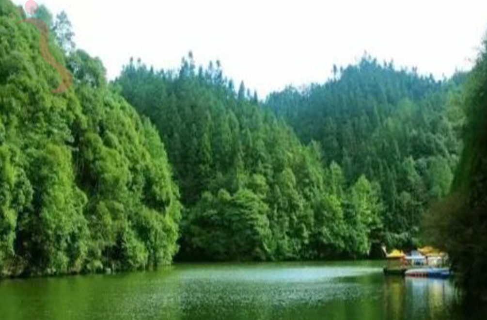 重庆江津区四面山山林度假酒店 - 周边游玩