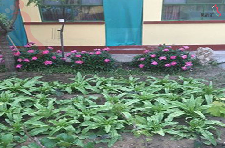 北京怀柔灵慧山甘泉农家院 - 图片2