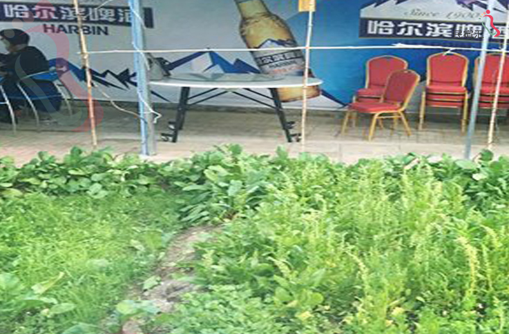 北京怀柔灵慧山甘泉农家院 - 图片3