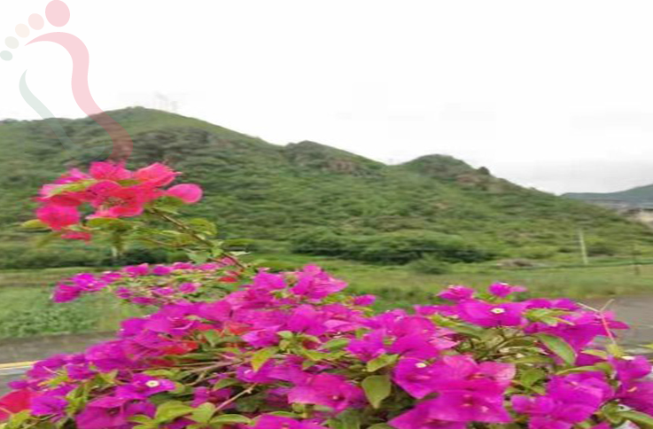 北京密云区柱家客栈 - 民宿介绍