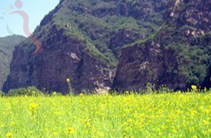 北京密云区云蒙山黑龙潭依依农家院 - 周边游玩