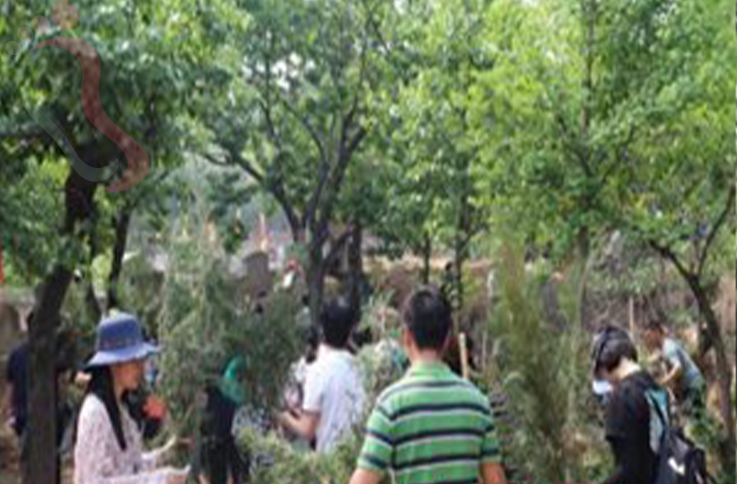 北京怀柔区黄花城水长城西湖小院 - 图片4