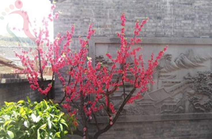 北京密云区遥桥古堡农家院 - 民宿介绍