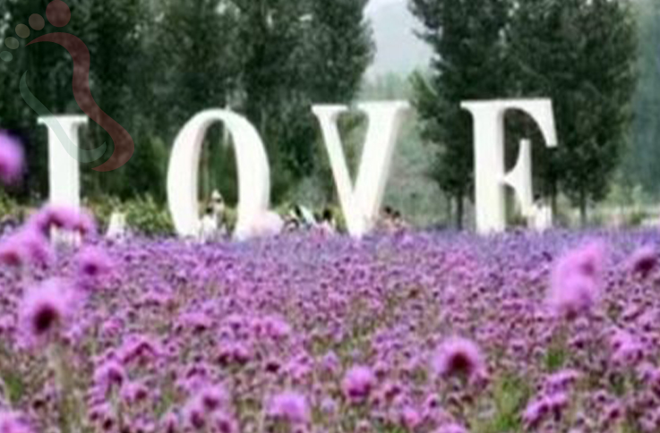 北京密云区古北水镇薰衣草民宿 - 图片2