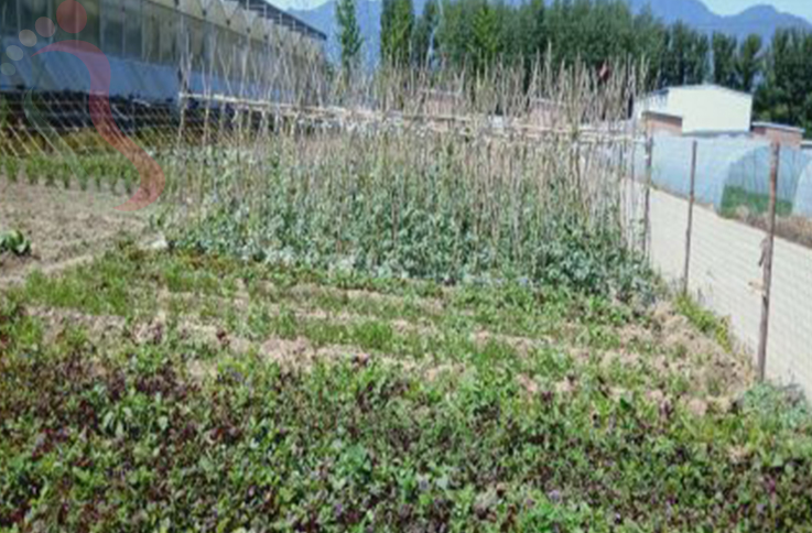 北京海淀区翠湖农庄房间图片2