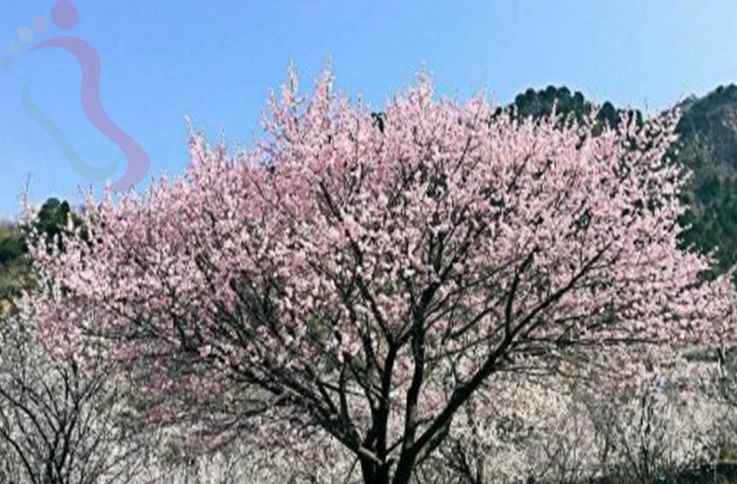 北京房山区房山蒲洼3号农家院 - 周边游玩