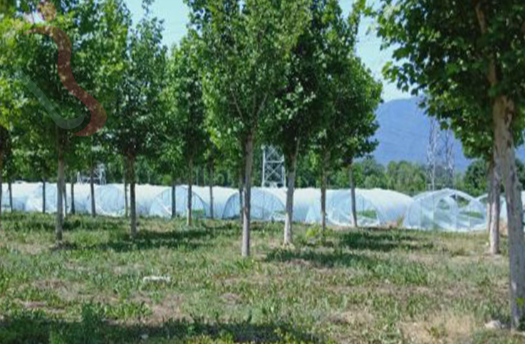 北京海淀区翠湖农庄 - 图片1