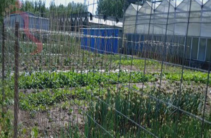 北京海淀区翠湖农庄房间图片4