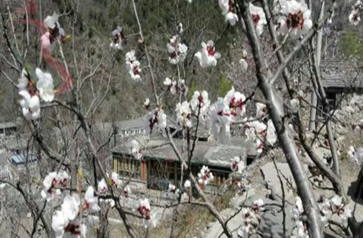 北京房山区蒲洼乡东村红升农家院 - 周边游玩