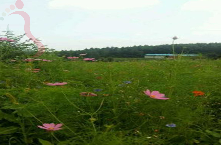 北京房山区蒲洼乡东村红升农家院 - 图片2