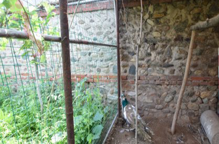 北京密云区古北水镇青山明月居 - 图片4