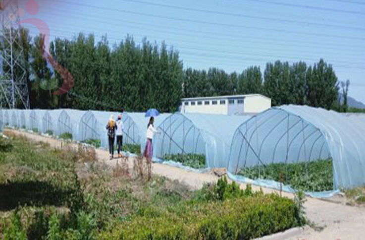 北京海淀区翠湖农庄 - 图片2