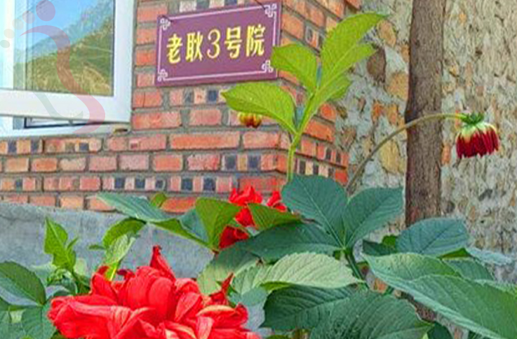 北京房山区蒲洼乡东村花台老耿农家院 - 图片4