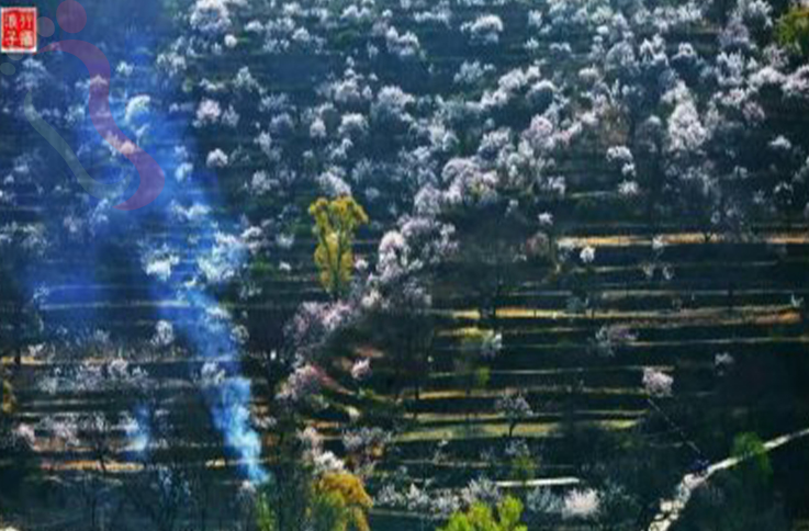 北京房山区房山蒲洼3号农家院 - 周边游玩