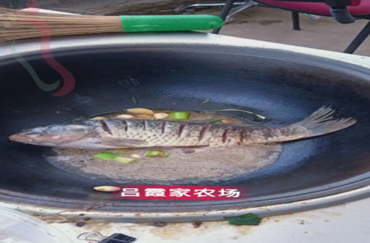 北京海淀区翠湖农庄 - 餐饮介绍