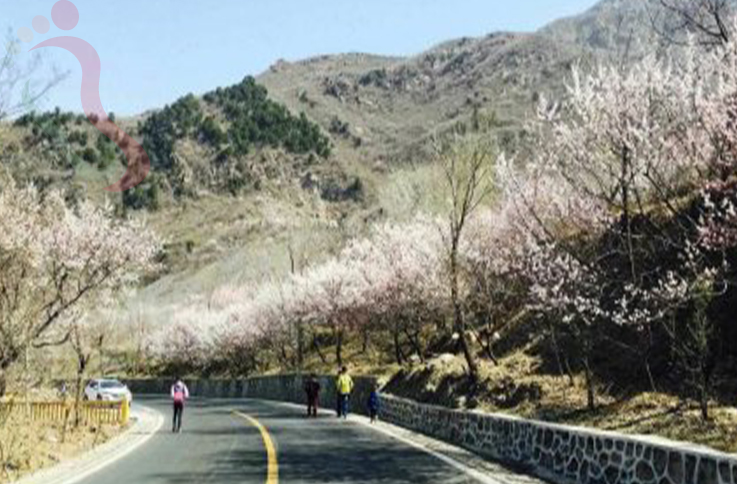 北京房山区房山蒲洼3号农家院 - 周边游玩