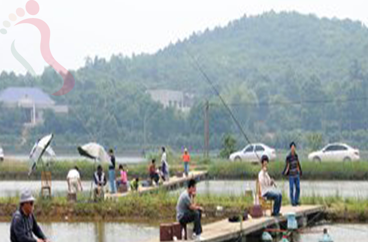 北京平谷区果园香农家院 - 图片4