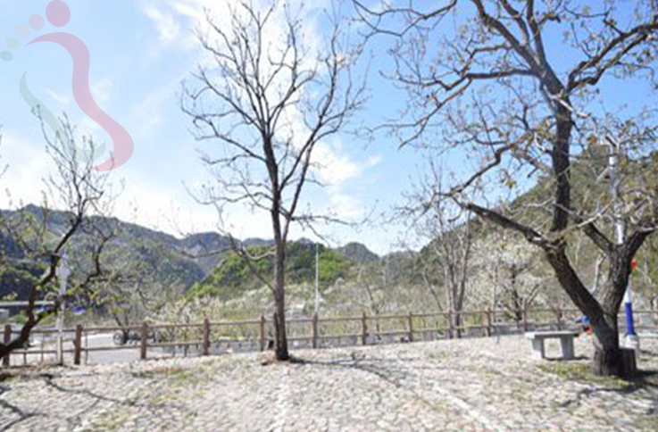 北京平谷区玻璃台71号农家院 - 民宿介绍