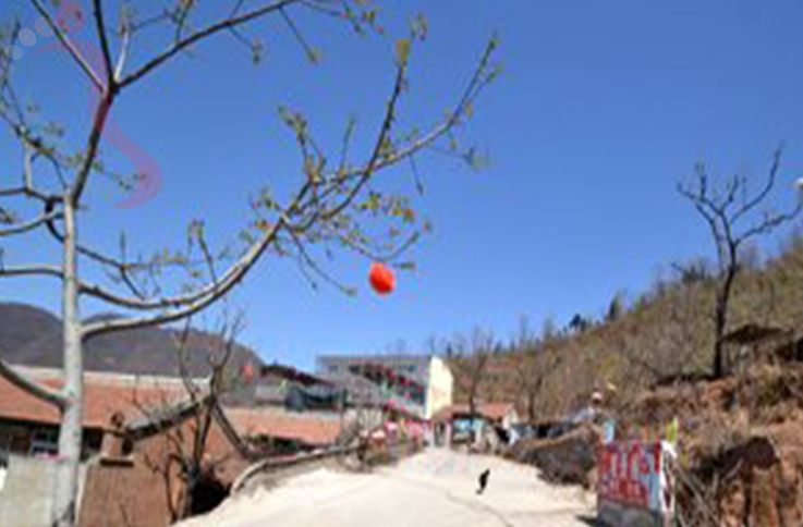 北京平谷区太后村观景阁农家院 - 图片2