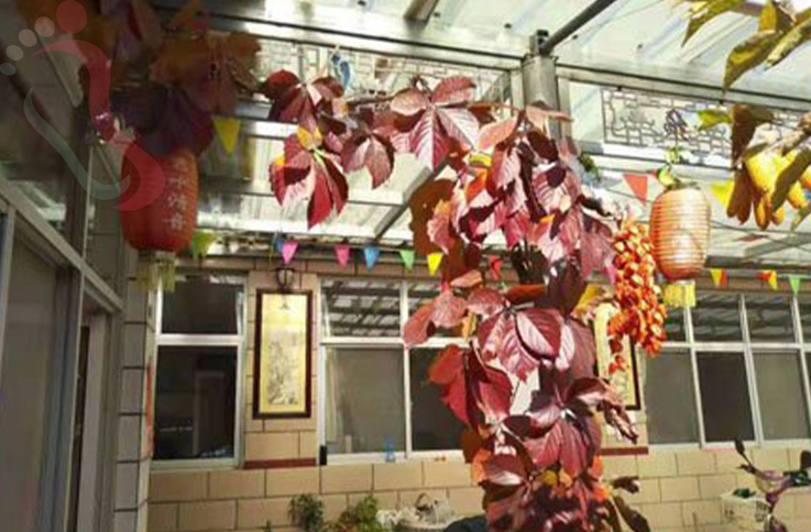 北京延庆区百里画廊秀水清音 - 图片3